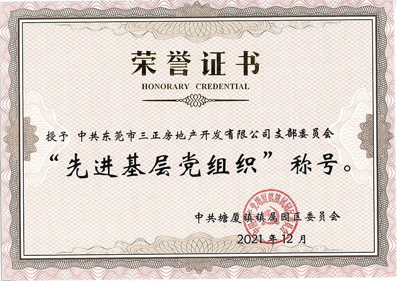 三正房地產黨支部授予先進基層黨組織.jpg