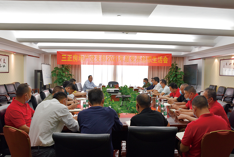 三正房地產黨支部召開2021年度組織生活會.jpg